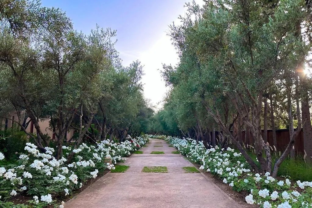 Dar Zeitoun Villa Marrakesh