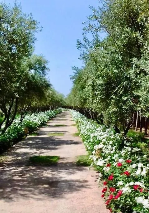 Dar Zeitoun Villa Marrakesh 0*,  Morocco