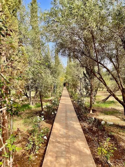 Dar Zeitoun Villa Marrakesh