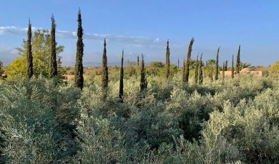 Dar Zeitoun Villa Marrakesh Morocco