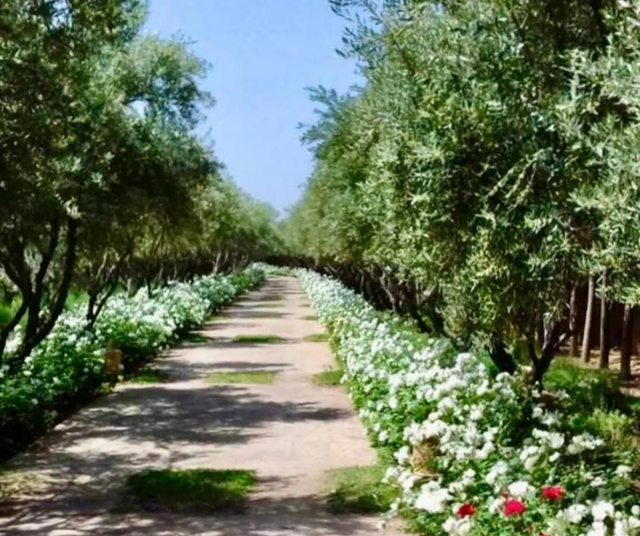 Dar Zeitoun Villa Marrakesh
